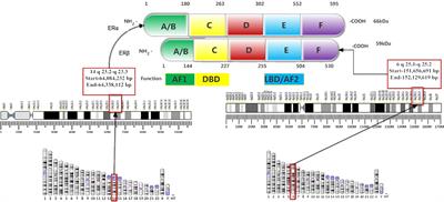 Molecular Mechanisms of Endocrine Resistance in Estrogen-Receptor-Positive Breast Cancer